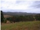 201 Pericoe Road, Towamba NSW 2550
