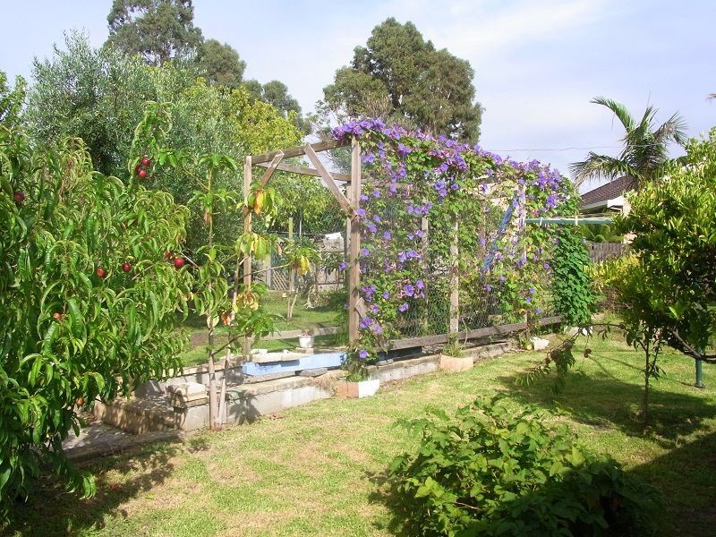 3 Curalo Street, Eden NSW 2551