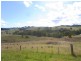 L1783 Pericoe Road, Towamba NSW 2550