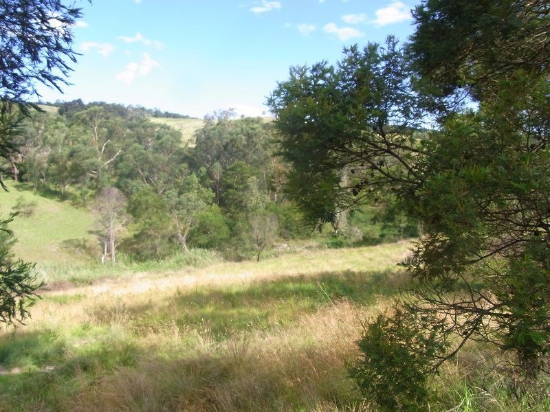 L1783 Pericoe Road, Towamba NSW 2550