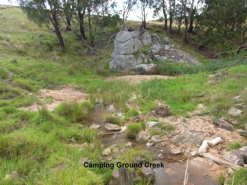 L1783 Pericoe Road, Towamba NSW 2550