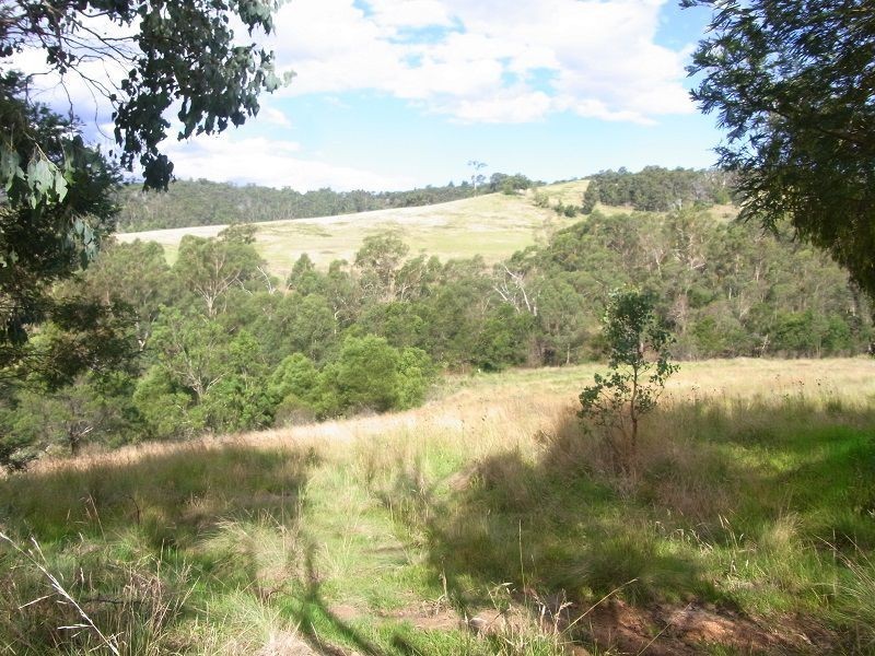 L1783 Pericoe Road, Towamba NSW 2550