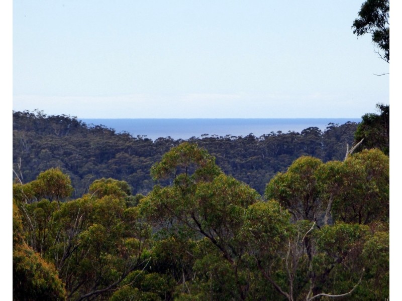 60 The Snake Trk KIAH Via, Eden NSW 2551