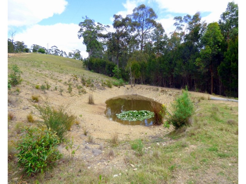 60 The Snake Trk KIAH Via, Eden NSW 2551