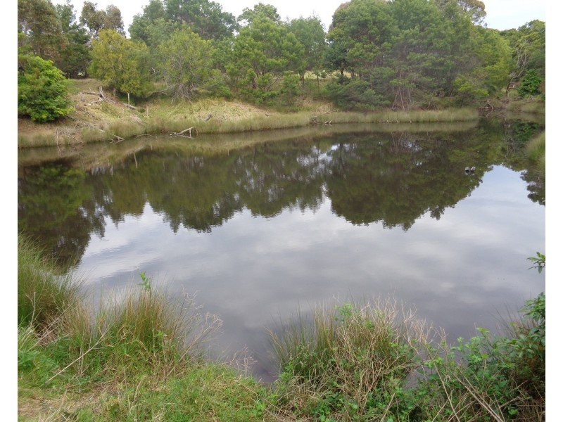 21 Bindaree Rd, Lochiel NSW 2549