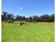 55 Palestine Road, Eden NSW 2551