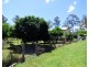 55 Palestine Road, Eden NSW 2551