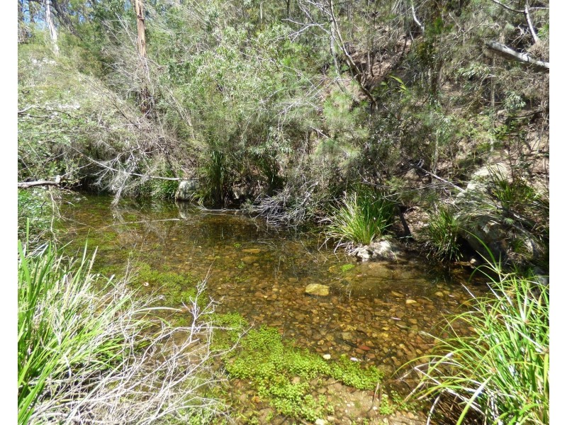 55 Palestine Road, Eden NSW 2551