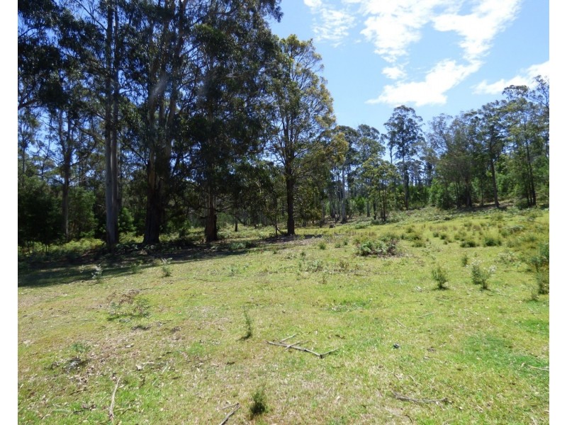 55 Palestine Road, Eden NSW 2551