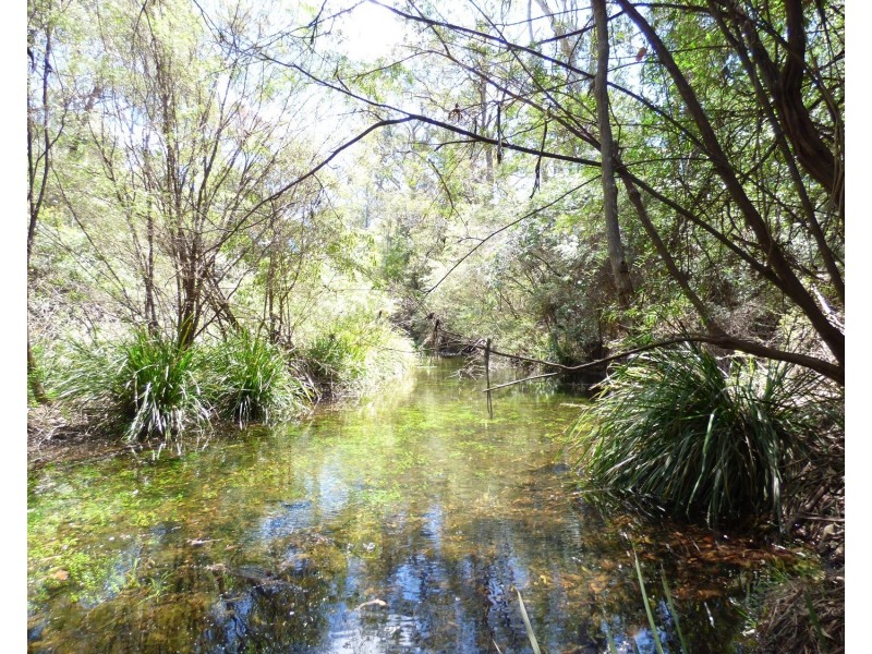 55 Palestine Road, Eden NSW 2551