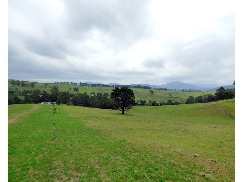 Lot 1782 Pericoe Road, Towamba NSW 2550