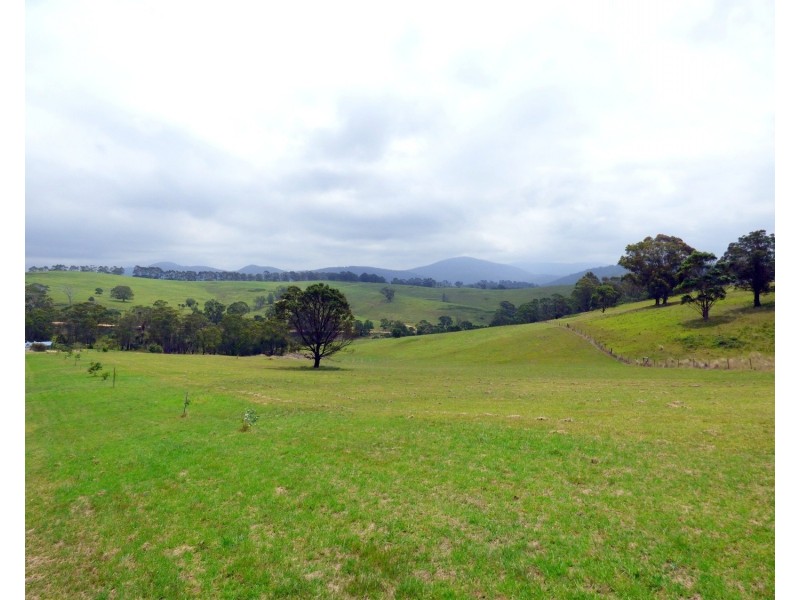 Lot 1782 Pericoe Road, Towamba NSW 2550