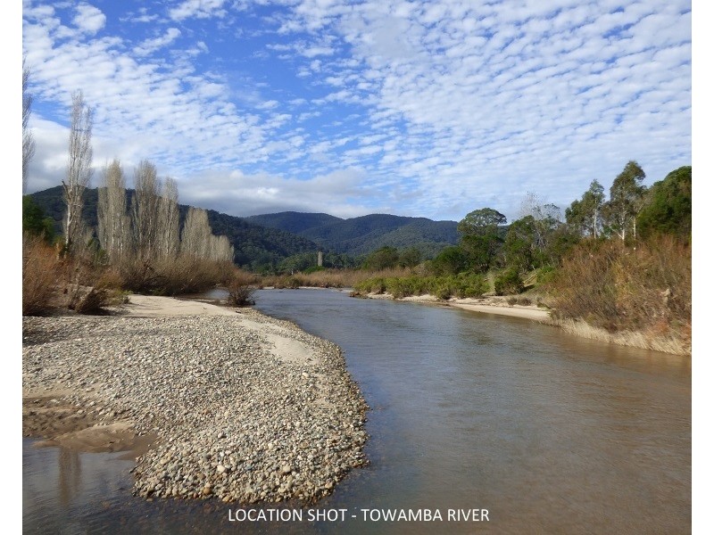 Lot 1782 Pericoe Road, Towamba NSW 2550