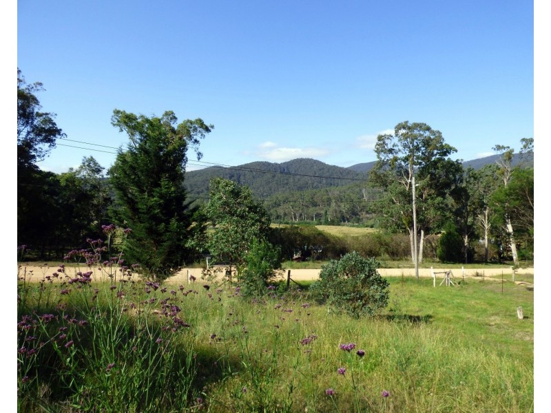 34 Nangutta St, Towamba NSW 2550