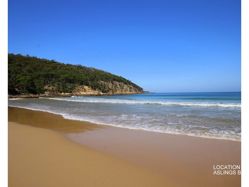 37 Trumpeter Ave, Eden NSW 2551