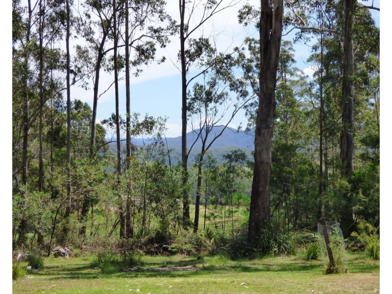 Lot 34 Mt Darragh Road, Wyndham NSW 2550