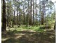 Lot 34 Mt Darragh Road, Wyndham NSW 2550