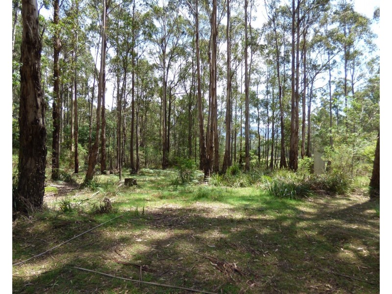 Lot 34 Mt Darragh Road, Wyndham NSW 2550