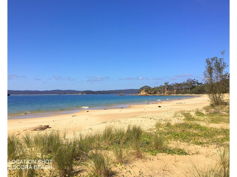 11 Bellbird Ct, Eden NSW 2551