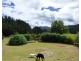 15-17 Towamba St, Towamba NSW 2550