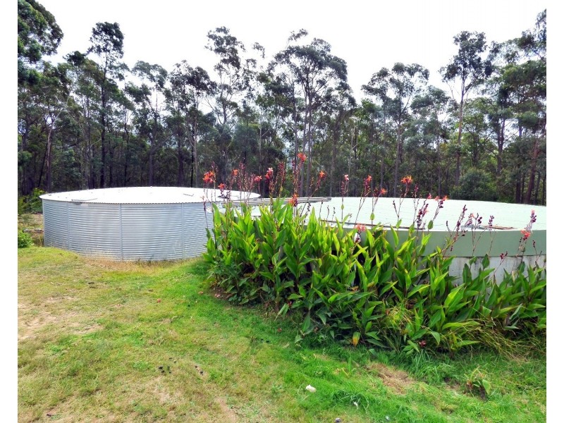 808 Burragate Rd, Wyndham NSW 2550