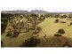 Gloucester NSW 2422