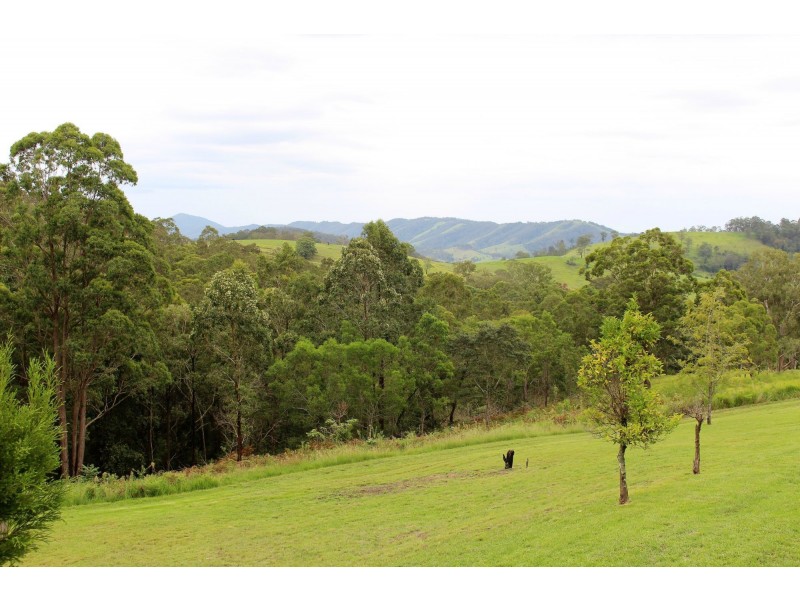 Monkerai NSW 2415