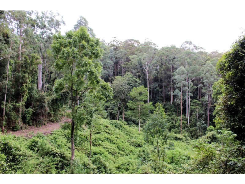 Monkerai NSW 2415
