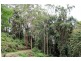 Monkerai NSW 2415