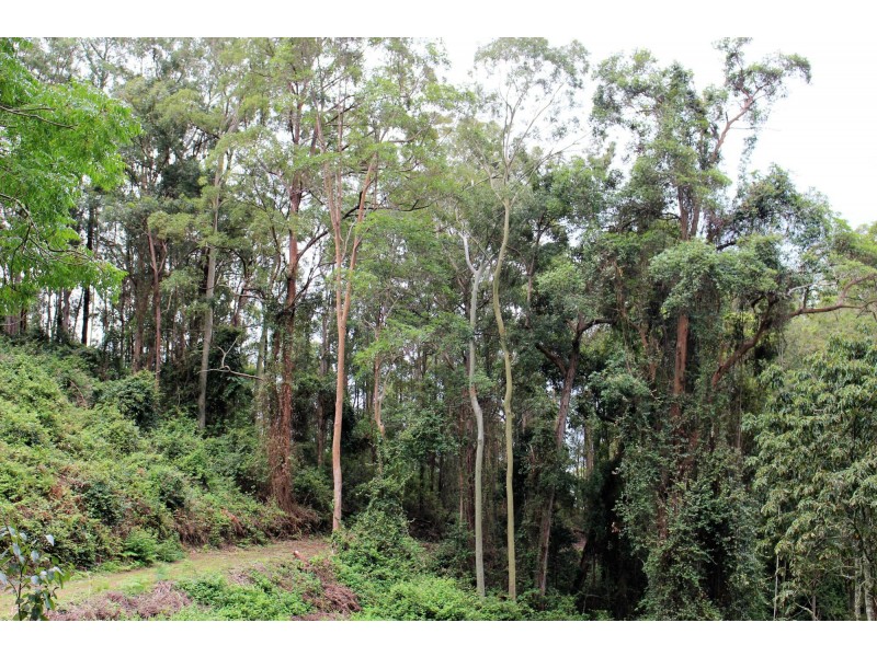 Monkerai NSW 2415