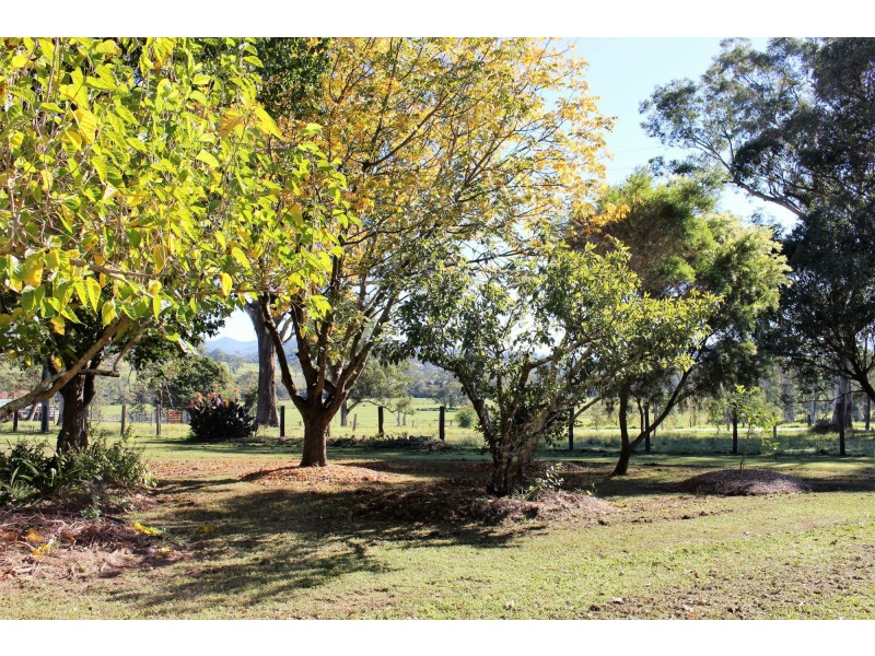 548 Barrington East Road, Gloucester NSW 2422