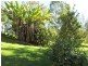 Bundook NSW 2422