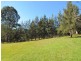 Bundook NSW 2422