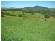 Knorrit Flat NSW 2424