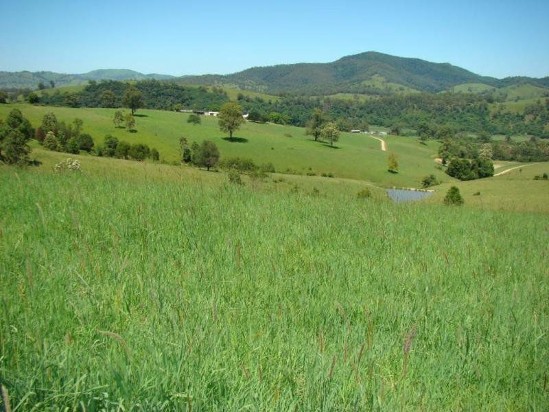 Knorrit Flat NSW 2424
