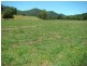 Knorrit Flat NSW 2424