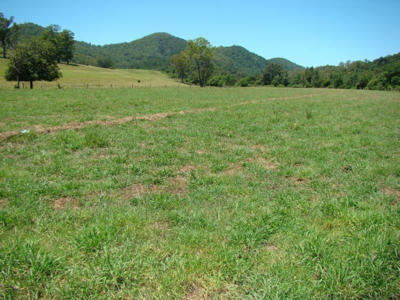 Knorrit Flat NSW 2424