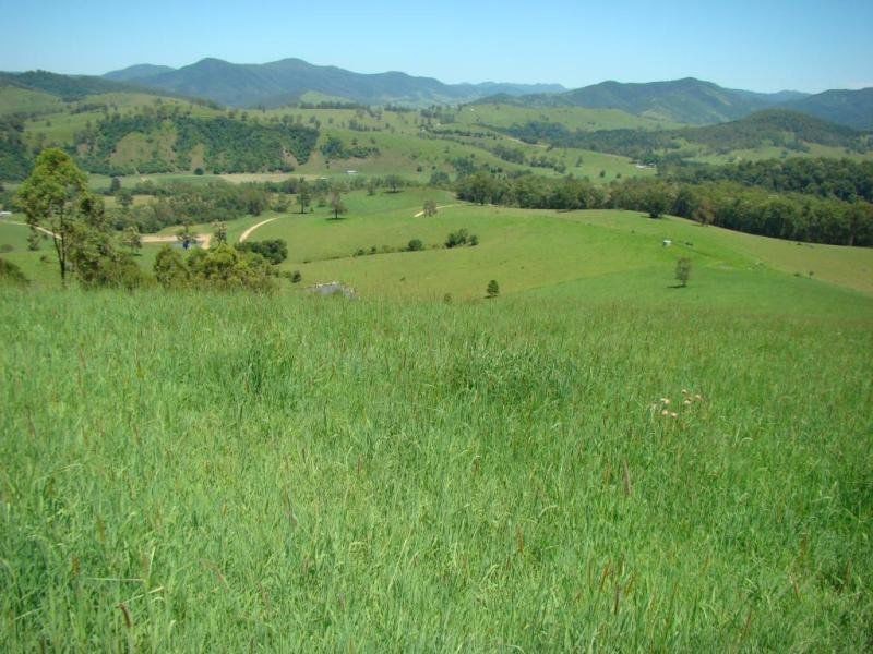 Knorrit Flat NSW 2424