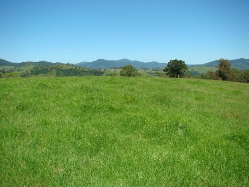 Knorrit Flat NSW 2424