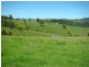 Knorrit Flat NSW 2424