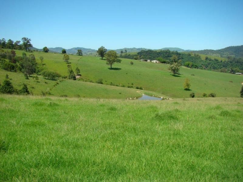 Knorrit Flat NSW 2424