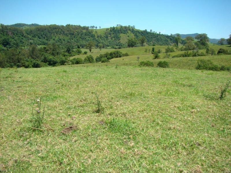 Knorrit Flat NSW 2424