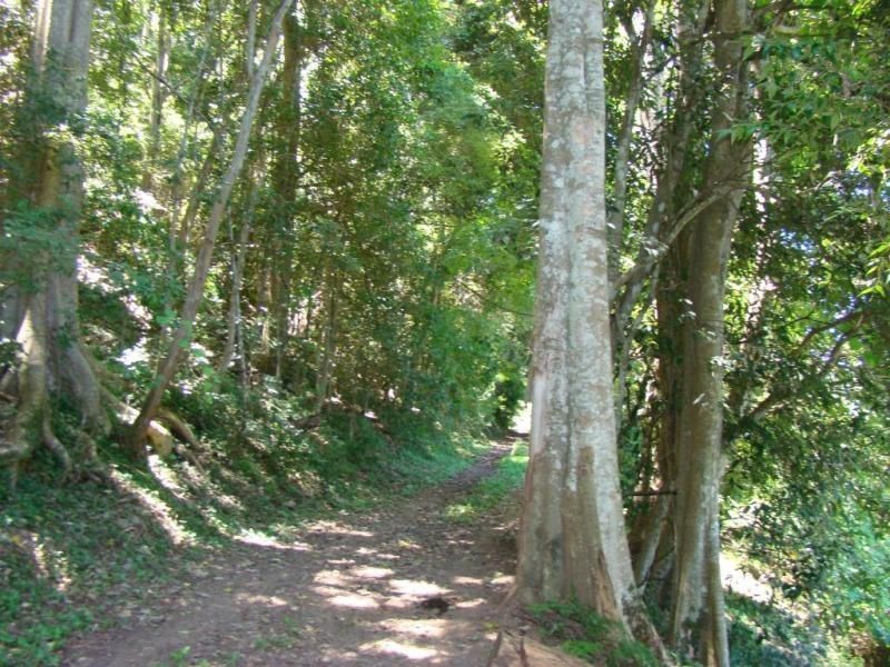Knorrit Flat NSW 2424