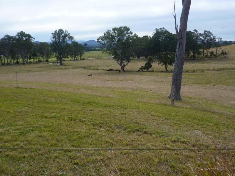 Wingham NSW 2429