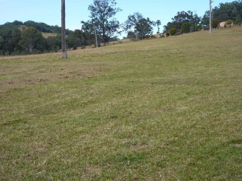 Wingham NSW 2429