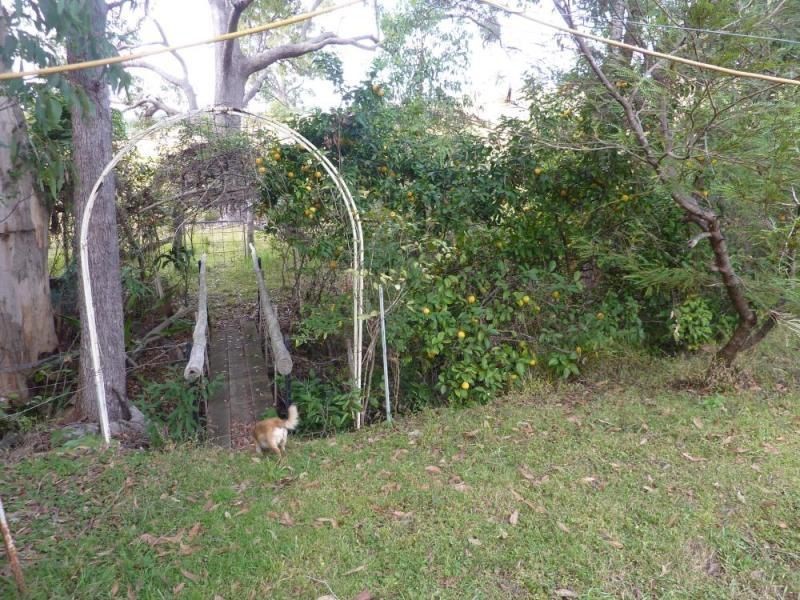 Wingham NSW 2429
