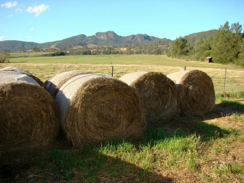 Barrington NSW 2422