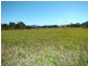 Barrington NSW 2422