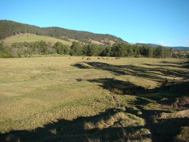Barrington NSW 2422