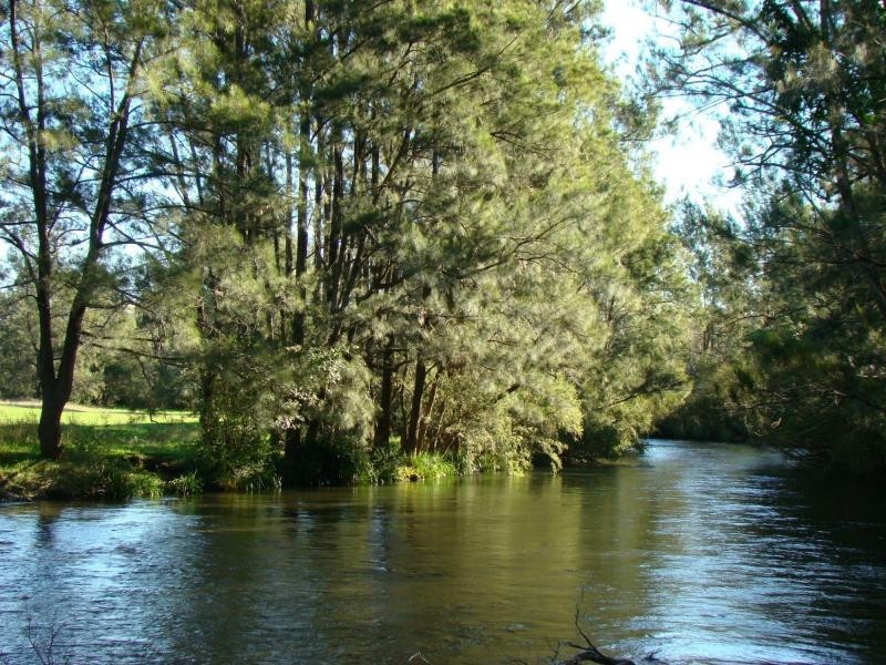 Barrington NSW 2422